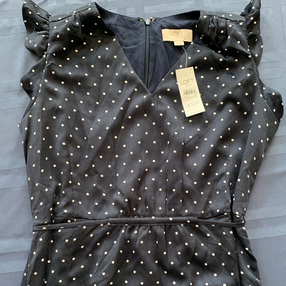 Cute Petite Loft Dress